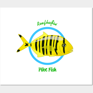 Pilot Fish Posters and Art